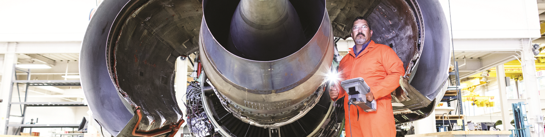 Ontdek de Mentor Visual IQ